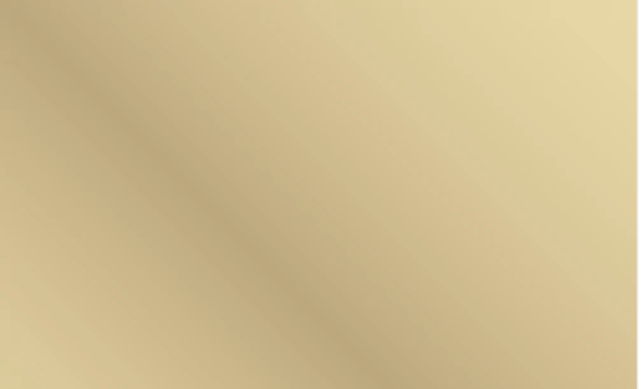 Metallic Gold 15” HTV