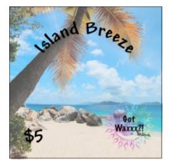 Island Breeze--Got Waxxx Clam Shells Soy Wax Melt for Warmers