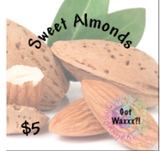 Sweet Almonds--Got Waxxx Clam Shells Soy Wax Melt for Warmers
