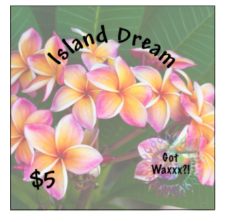 Island Dream--Got Waxxx Clam Shells Soy Wax Melt for Warmers