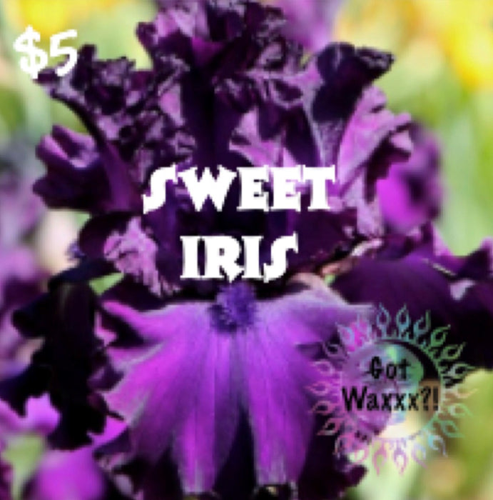 Sweet Iris--Got Waxxx Clam Shells Soy Wax Melt for Warmers