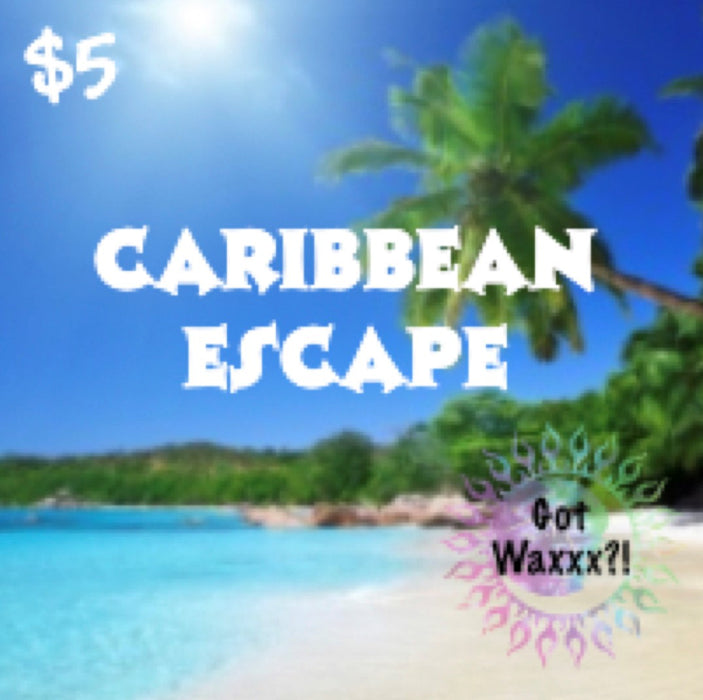 Caribbean Escape--Got Waxxx Clam Shells Soy Wax Melt for Warmers