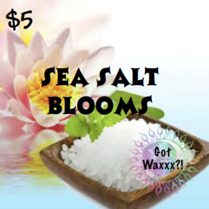 Sea Salt Blooms--Got Waxxx Clam Shells Soy Wax Melt for Warmers