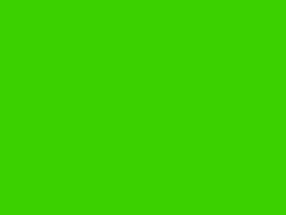 Neon Green Oracal 651 - 12" x 12" piece