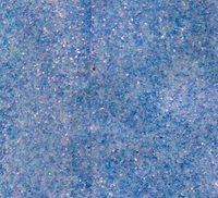 Forget Me Not