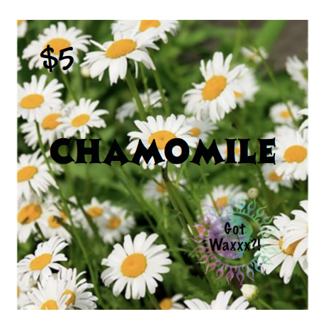 Chamomile--Got Waxxx Clam Shells Soy Wax Melt for Warmers