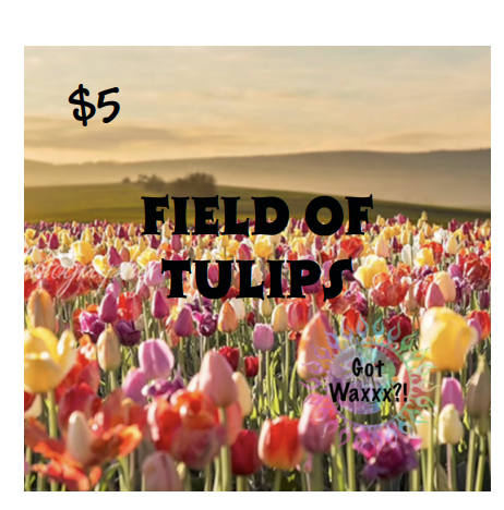 Field of Tulips--Got Waxxx Clam Shells Soy Wax Melt for Warmers