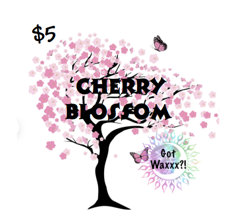 Cherry Blossom--Got Waxxx Clam Shells Soy Wax Melt for Warmers
