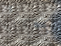 Zebra Metallic HTV