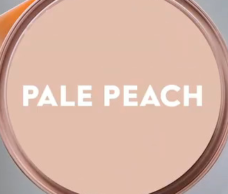 Pale Peach Smooth HTV
