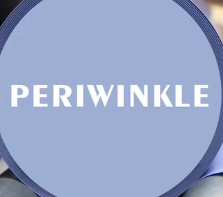 Periwinkle Smooth HTV