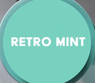 Retro Mint Smooth HTV